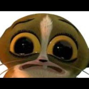 Meet your Posher, Owen